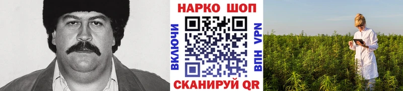 Наркотические вещества Ноябрьск Альфа ПВП Мефедрон MEGA ГАШИШ