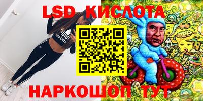 прущие грибы Донецк