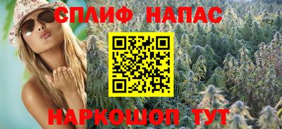 прущие грибы Донецк