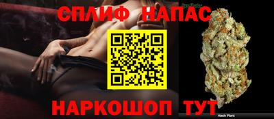 прущие грибы Донецк