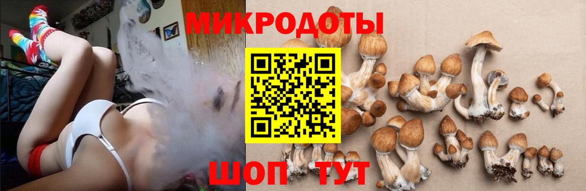 Галлюциногенные грибы ЛСД Ноябрьск